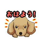 ワンわんスタンプ（個別スタンプ：1）