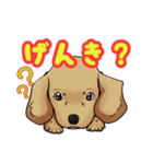 ワンわんスタンプ（個別スタンプ：3）