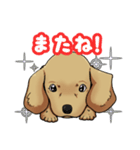 ワンわんスタンプ（個別スタンプ：5）