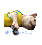 りりさんの日常（個別スタンプ：4）