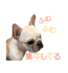 りりさんの日常（個別スタンプ：16）