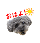 海そらその1（個別スタンプ：1）