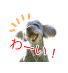 海そらその1（個別スタンプ：2）
