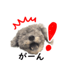 海そらその1（個別スタンプ：4）