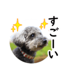 海そらその1（個別スタンプ：5）