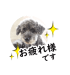 海そらその1（個別スタンプ：6）