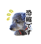 海そらその1（個別スタンプ：8）
