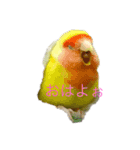 みんなのアイドルスタンプ（個別スタンプ：1）