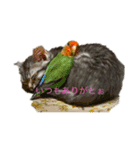 みんなのアイドルスタンプ（個別スタンプ：2）