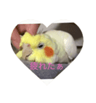 みんなのアイドルスタンプ（個別スタンプ：3）