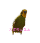みんなのアイドルスタンプ（個別スタンプ：6）