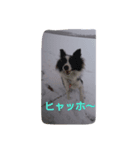 ボーダー軍団3（個別スタンプ：4）