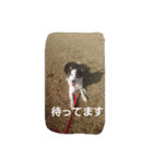 ボーダー軍団3（個別スタンプ：5）