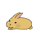 変なうさぎシリーズ（個別スタンプ：33）