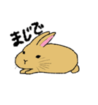 変なうさぎシリーズ（個別スタンプ：34）