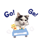 ふーちゃんとなかま（個別スタンプ：22）