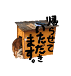みんなのきずなスタンプ（個別スタンプ：13）