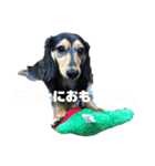 気持ち代弁犬（個別スタンプ：7）
