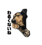 気持ち代弁犬（個別スタンプ：10）