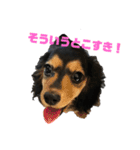 気持ち代弁犬（個別スタンプ：11）
