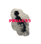 気持ち代弁犬（個別スタンプ：14）