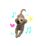 ゴンとカシュー（個別スタンプ：5）