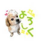 ☆たくandしょう☆（個別スタンプ：1）