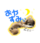 ☆たくandしょう☆（個別スタンプ：2）