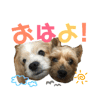 ☆たくandしょう☆（個別スタンプ：4）
