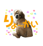 ☆たくandしょう☆（個別スタンプ：7）