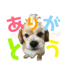 ☆たくandしょう☆（個別スタンプ：10）