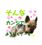 ☆たくandしょう☆（個別スタンプ：13）