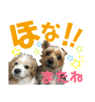 ☆たくandしょう☆（個別スタンプ：16）