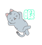 どうぶつ日常スタンプ（個別スタンプ：9）