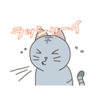 どうぶつ日常スタンプ（個別スタンプ：17）