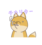 どうぶつ日常スタンプ（個別スタンプ：18）