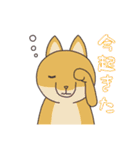 どうぶつ日常スタンプ（個別スタンプ：23）
