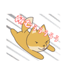 どうぶつ日常スタンプ（個別スタンプ：30）