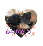 イッヌさま（個別スタンプ：2）