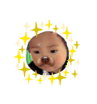BabyJewel（個別スタンプ：12）