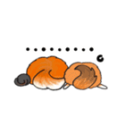 わんわんカンフー（個別スタンプ：23）
