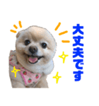 みんなのワンコ(敬語編)（個別スタンプ：6）