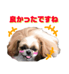 みんなのワンコ(敬語編)（個別スタンプ：14）