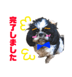 みんなのワンコ(敬語編)（個別スタンプ：15）