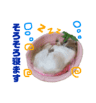 みんなのワンコ(敬語編)（個別スタンプ：22）