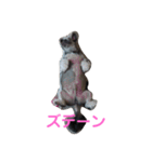 ラサアプソのちゃいくんです♪（個別スタンプ：6）