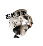 カノアのスタンプだよ（個別スタンプ：2）