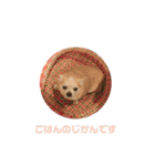 秋田犬 サン＆カイ♡チワワ ばんび（個別スタンプ：21）