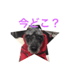 ジェッコ（個別スタンプ：5）