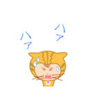 ドラネコ ミーちゃん 4（個別スタンプ：16）